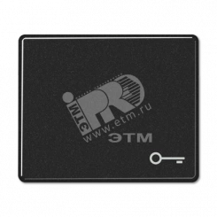 Клавиша для выключателя с символом ключ черная Клавиша для выключателя с символом ключ черная