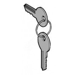 Комплект ключей N/421E