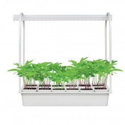 UFP-G34S WHITE 12 Подставка металлическая для светильника ULI-P 570мм. 12 кашпо в/к, белые. TM Uniel UFP-G34S WHITE 12 Подставка металлическая для светильника ULI-P 570мм. 12 кашпо в/к, белые. TM Uniel