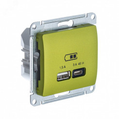 GLOSSA USB РОЗЕТКА A + тип-C 45W высокоскор.заряд. QC, PD, механизм, ФИСТАШКОВЫЙ