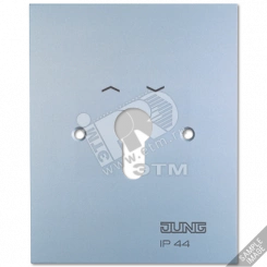 Металлическая крышка 125?100 мм без символов  алюминий