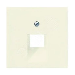 Накладка 1-ой телефонной/компютерной розетки IAE/UAE (1 x 8-пол.) Серия A500 Материал- термопласт Цвет- слоновая кость Накладка 1-ой телефонной/компютерной розетки IAE/UAE (1 x 8-пол.) Серия A500 Материал- термопласт Цвет- слоновая кость