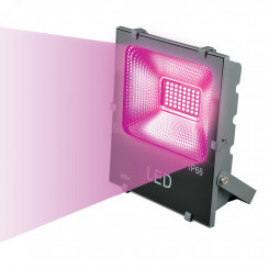 Прожектор для растений светодиодный ULF-P41-50W/SPBR IP65 170-265В GREY картон Спектр для рассады и досвечивания в период роста Цвет серый TM Uniel