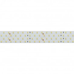 Лента RT-A196-15mm 24V Day4000 CRI98 (20 W/m, IP20, 2835, 5m) Лента RT-A196-15mm 24V Day4000 CRI98 (20 W/m, IP20, 2835, 5m)