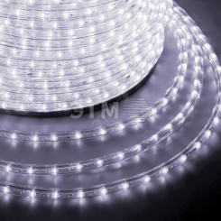 Дюралайт профессиональный LED, постоянное свечение (2W) - белый    Эконом 24 LED/м , бухта 100м