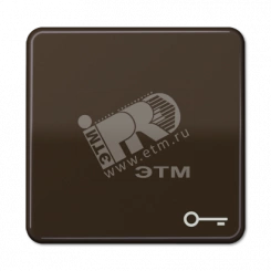 Клавиша с символом ключ коричневая Клавиша с символом ключ коричневая