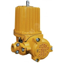 Гидротолкатель взрывозащищенный ТЭ-80 РВ 220В Гидротолкатель взрывозащищенный ТЭ-80 РВ 220В