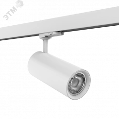 Светильник светодиодный ДДО-30Вт 3000К TT-02 2.0 Белый