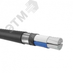 Кабель силовой АВБШв 2х95мс-1 ТРТС Кабель силовой АВБШв 2х95мс-1 ТРТС