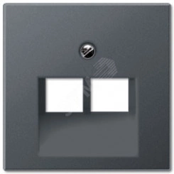 Накладка 2-ой телефонной/компютерной розетки  IAE/UAE (1 x 8-пол.)  Серия Eco Profi  Материал- термопласт  Цвет- антрацит (крашеный).