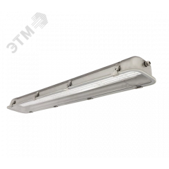 Светильник ЛСП-67-2х28-011 Linkor ЭПРА, IP65