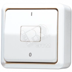 Выключатель двухполюсный накладной белый Выключатель двухполюсный накладной белый