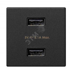 Зарядное устройство 2xUSB Simon