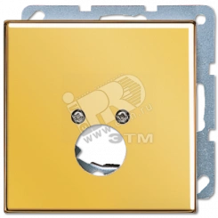 Крышка для одного гнезда подключения громкоговорителя  металл цвета золота