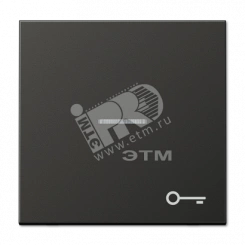 Клавиша для контрольного выключателя с подсветкой и символом  замок   антрацит