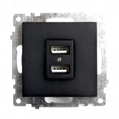 Розетка 2-местная б/з и с USB, Катрин, черный