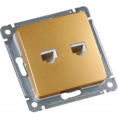 MASTER Розетка компьютерная на два присоединения, скрытой установки, в рамку, золото MASTER Розетка компьютерная на два присоединения, скрытой установки, в рамку, золото