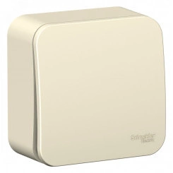 BLANCA одноклавишный выключатель наружный (cх.1) с изолирующей пластиной, 6а, 250в, молочный BLANCA одноклавишный выключатель наружный (cх.1) с изолирующей пластиной, 6а, 250в, молочный