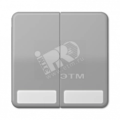 Клавиши для сдвоенных выключателей и кнопок с полем для надписи  серые