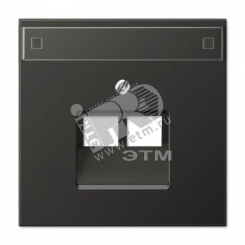 Крышка для сдвоенной телефонной и компютерной розетки  UAE с полем для надписи  антрацит