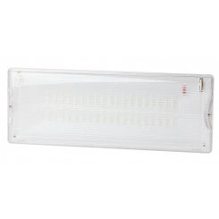 Светильник светодиодный DPA-301-0-65 40LED 3ч IP65 аварийный непостоянный Эра Б0044405