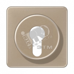 Крышка для выключателя с замком золотая бронза Крышка для выключателя с замком золотая бронза