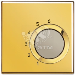 Крышка для регулятора температуры воздуха помещений металл цвета золота Крышка для регулятора температуры воздуха помещений металл цвета золота