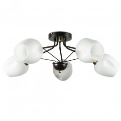 Люстра Arte Lamp BRIGHTON A2706PL-5CK