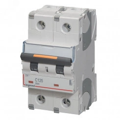 Выключатель автоматический двухполюсный 125А C DX325kА Выключатель автоматический двухполюсный 125А C DX325kА