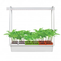 UFP-G34S WHITE MIX 12 Подставка металлическая для светильника ULI-P 570мм. 12 кашпо в/к, цветные. TM Uniel UFP-G34S WHITE MIX 12 Подставка металлическая для светильника ULI-P 570мм. 12 кашпо в/к, цветные. TM Uniel