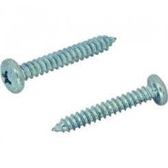 Шуруп DIN7981 5,5х70 полукруглая головка, остроконечный (250шт) Шуруп DIN7981 5,5х70 полукруглая головка, остроконечный (250шт)