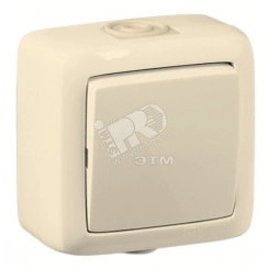 Выключатель одноклавишный наружный слоновая кость IP44 10А Выключатель одноклавишный наружный слоновая кость IP44 10А