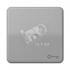 Клавиша с окошком и символом ключ для выключателей с подсветкой серая Клавиша с окошком и символом ключ для выключателей с подсветкой серая