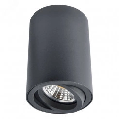 Светильник Arte Lamp SENTRY A1560PL-1BK