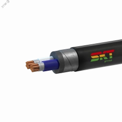 Кабель силовой ВБШвнг(А)-FRLS 2х50мк(N)-0.66 ТРТС