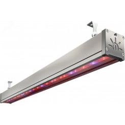 Светильник светодиодный ФИТО-43W IP65 96.6мкмоль/с КСС Г UN