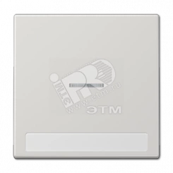 Клавиша для  выключателя с подсветкой и полем для надписи  светло-серая