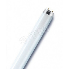 Лампа линейная люминесцентная ЛЛ 36вт L 36/640 G13 белая Osram