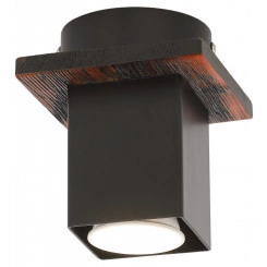 Светильник потолочный Rivoli Luise 3102-201 1 * GU10 50 Вт модерн