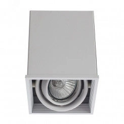 Светильник Arte Lamp CARDANI PICCOLO A5942PL-1WH