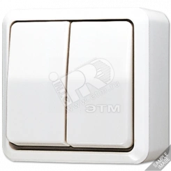 Выключатель для накладного монтажа сдвоенный  слоновая кость