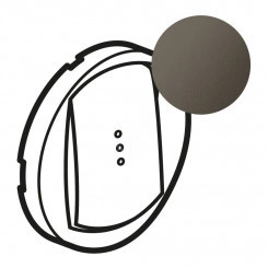 Celiane Лицевая панель выключателя 067020 с подсветкой или индикацией графит Celiane Лицевая панель выключателя 067020 с подсветкой или индикацией графит