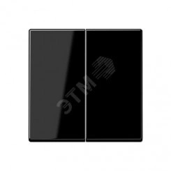 Клавиша 2-я для выключателей и кнопок без подсветки. Серия A500 Материал- термопласт Цвет- черный Клавиша 2-я для выключателей и кнопок без подсветки. Серия A500 Материал- термопласт Цвет- черный