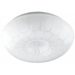 SPB-6 ''Паутина'' 24-4K (B) Бытовые светодиодные светильники (SPB 6)_48 напр ЭРА Светодиод. св-к 24Вт 4000K 1850Лм 405x115''