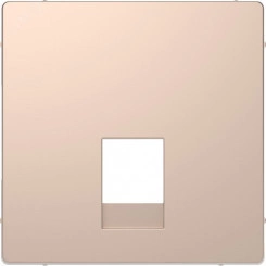Накладка центральная D-Life для розетки двойной RJ11/RJ12 шампань SD Накладка центральная D-Life для розетки двойной RJ11/RJ12 шампань SD