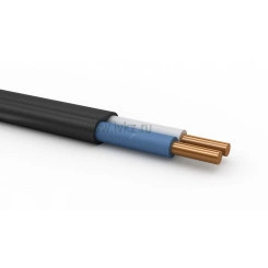 Кабель силовой ВВГ-Пнг(А)-LS 2х1.5 ок (N)-1 ТРТС