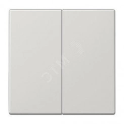 Клавиша 2-я для выключателей и кнопок без подсветки. Серия LS990 Материал- дуропласт Цвет- светло-серый Клавиша 2-я для выключателей и кнопок без подсветки. Серия LS990 Материал- дуропласт Цвет- светло-серый