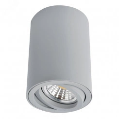 Светильник Arte Lamp SENTRY A1560PL-1GY