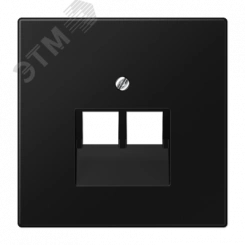 Плата (фиксация винтом) для двух модулей термопласт черный матовый Плата (фиксация винтом) для двух модулей термопласт черный матовый