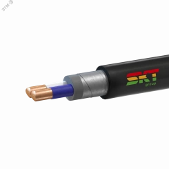 Кабель силовой ВБШвнг(А) 2х6ок(N)-1 ТРТС